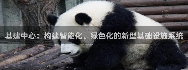 和记体育官网