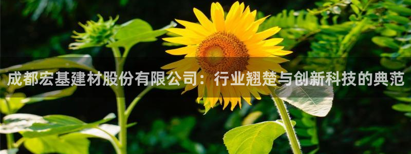 和记卡官网