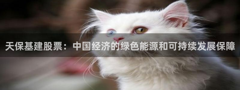 和记平台网站官网